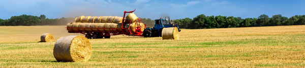 Tractor and bales of hay in field